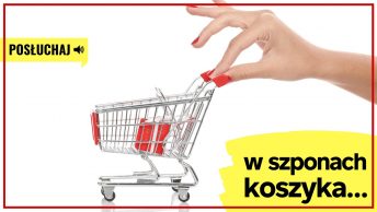 w szponach koszyka